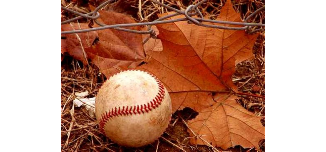 2022 Fall Baseball Registration